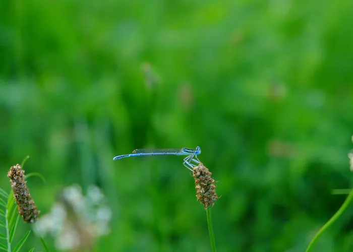 Stara Broznja Egbr Gasthof Burg (Spreewald)