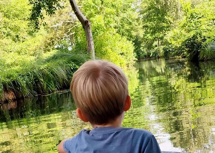 Stara Broznja Egbr *