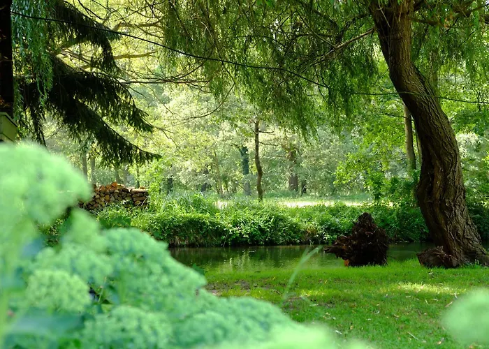 Stara Broznja Egbr *