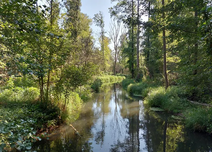 Stara Broznja Egbr Гостевой дом